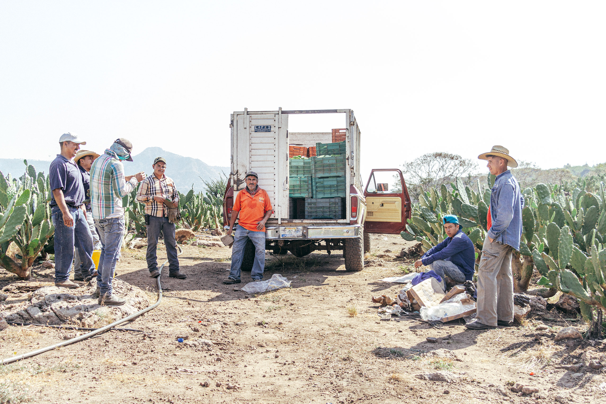 photographe reportage lille